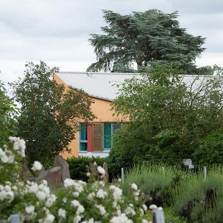Alanus Gastehaus Hotel Alfter Luaran gambar