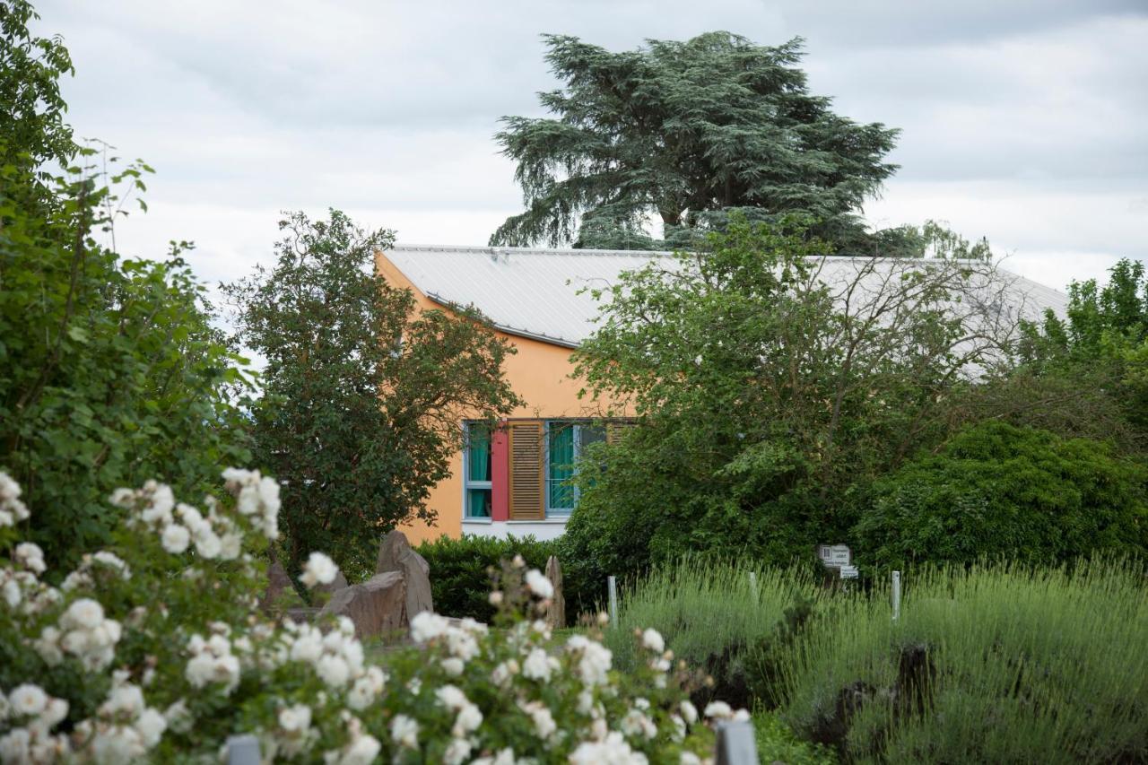 Alanus Gastehaus Hotel Alfter Luaran gambar